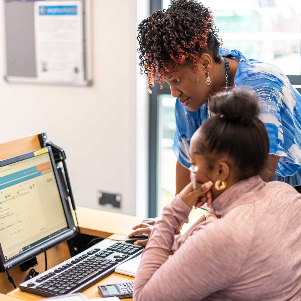 Tutor supporting a learner using a computer.